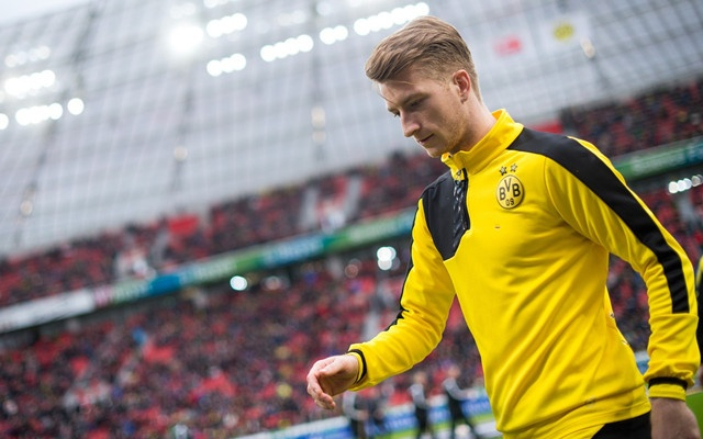 包含赛地聚焦——德甲今夜热度飙升，葡萄牙体育完成体检，更衣室稳定，数据趋势出现新变化的词条